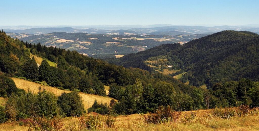 Obraz <a href="https://pixabay.com/pl/users/cortez13-455295/?utm_source=link-attribution&utm_medium=referral&utm_campaign=image&utm_content=1128824"> cortez13</a> z <a href="https://pixabay.com/pl//?utm_source=link-attribution&utm_medium=referral&utm_campaign=image&utm_content=1128824"> Pixabay</a>
